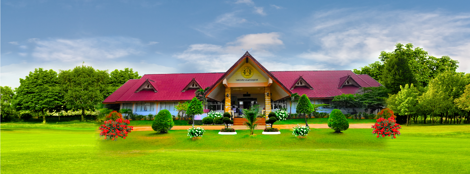 พื้นหลัง